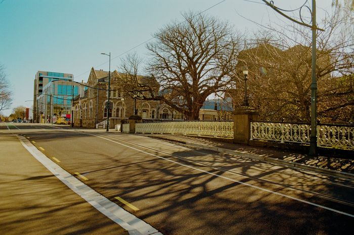 Christchurch street with trees and buildings