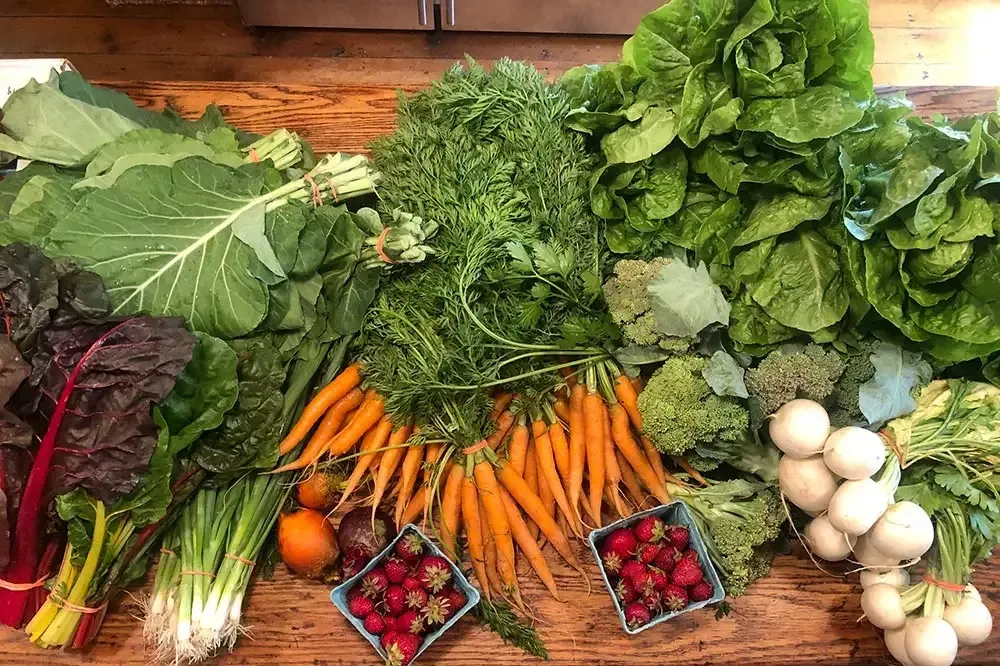 Fresh produce organically and seasonally grown in our very own North State by small family farms.