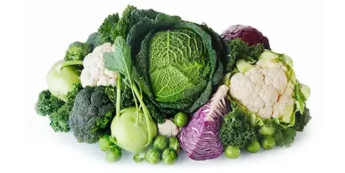 Seasonal vegetables and fruits grown by local North State farms.