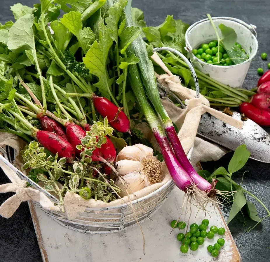 Farm fresh produce from a local northern California farm.