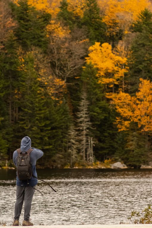 A man with a backpack is standing next to a lake in the woods.