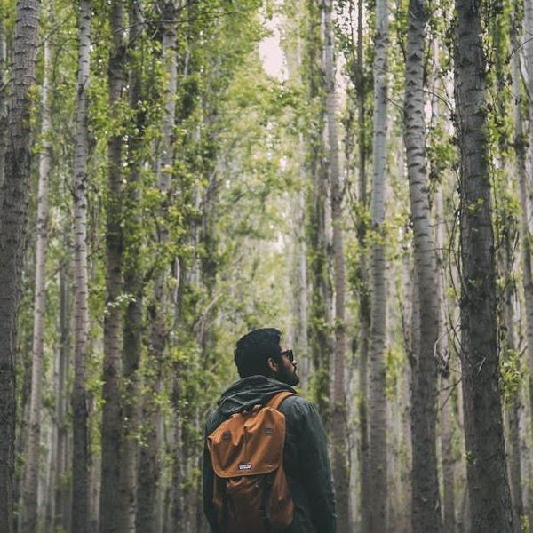 A man with a backpack is standing in a forest.