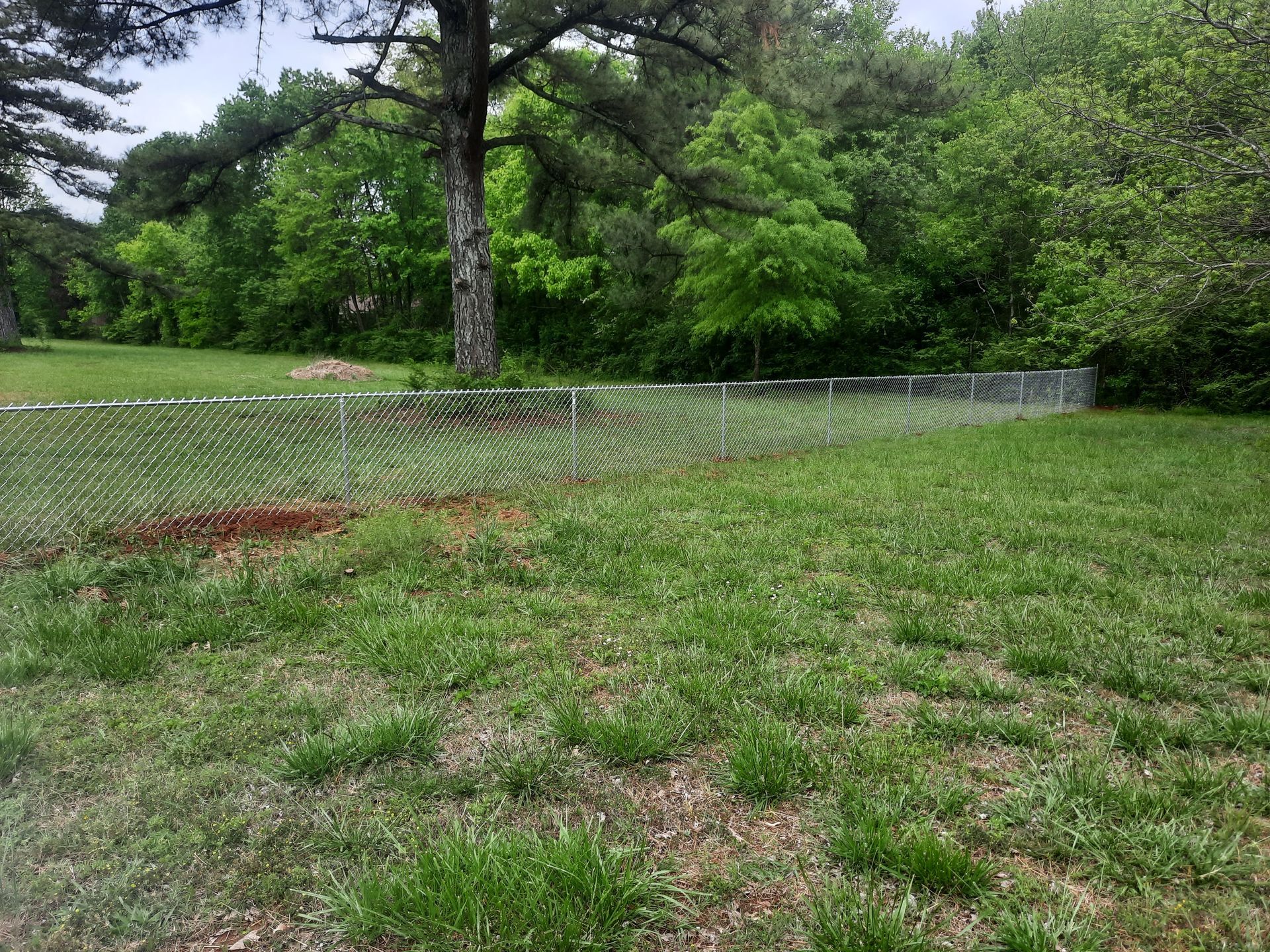A large grassy field with a chain link fence and trees in the background.