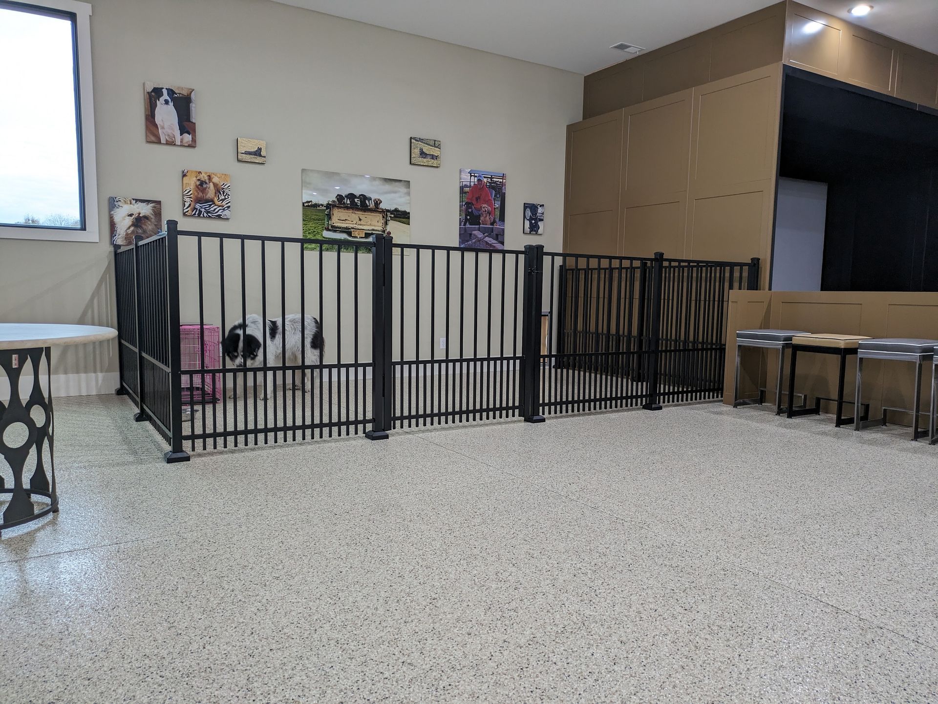 A dog is standing in a fenced in area in a room.