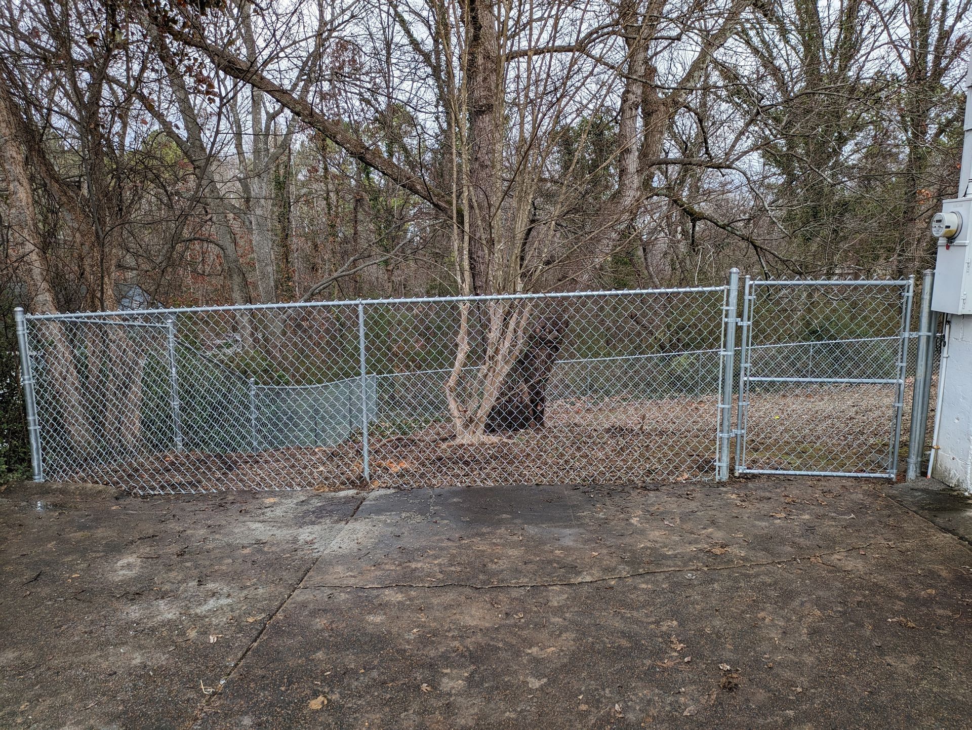 A chain link fence with a gate in the middle of a forest.