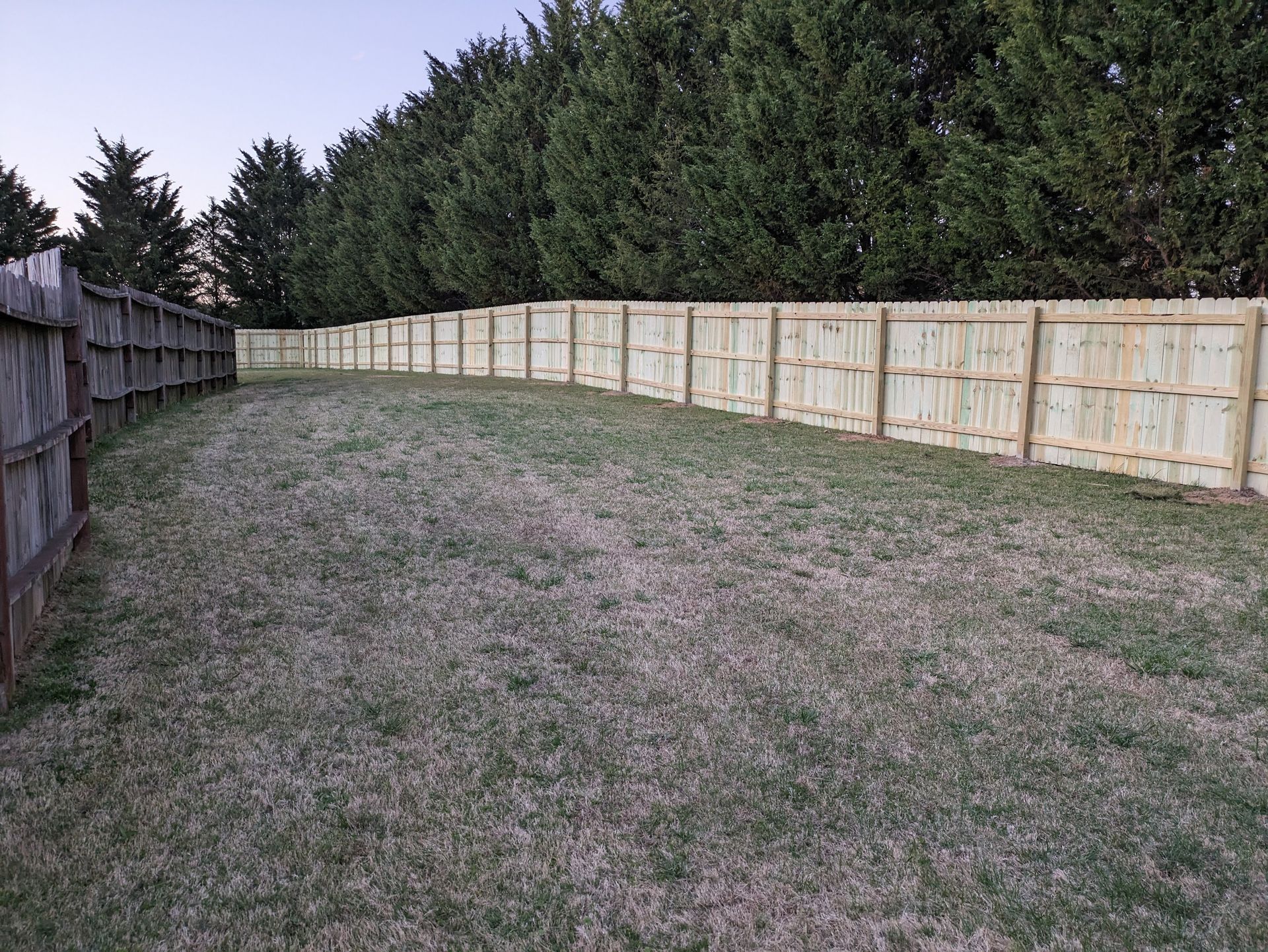 A wooden fence surrounds a grassy field with trees in the background.