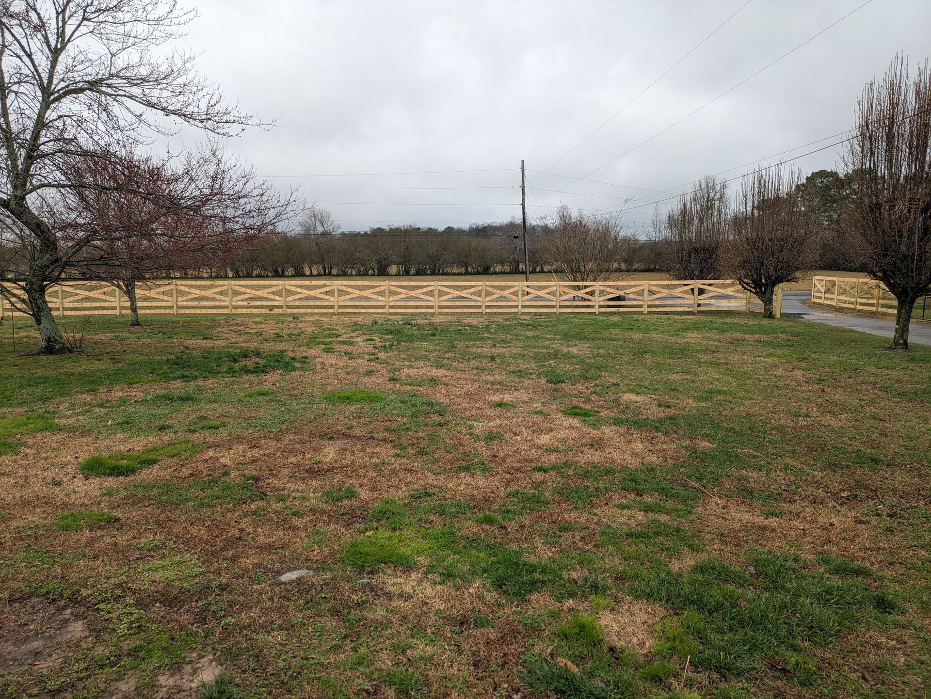 A large grassy field with a wooden fence in the background.