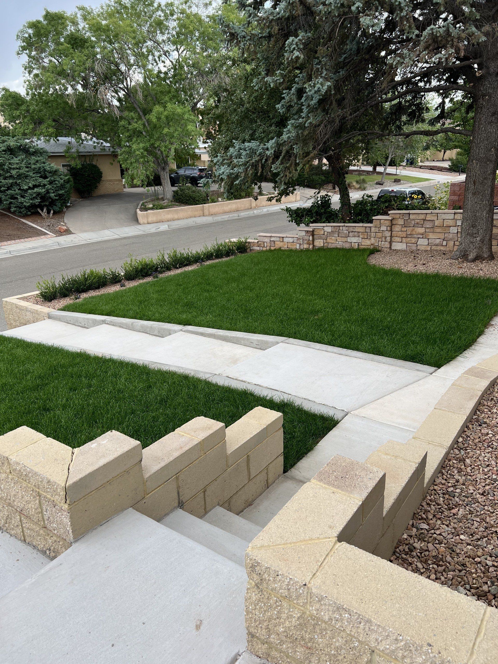 A lush green lawn with stairs leading up to it