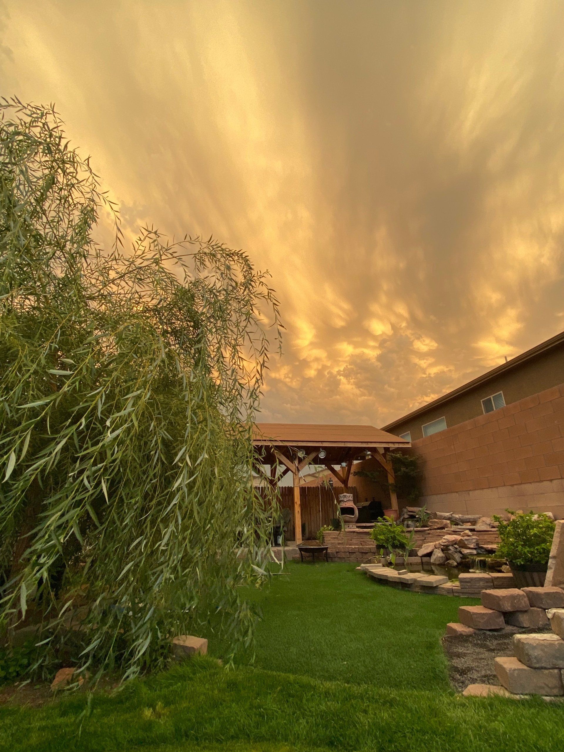 There is a house in the background with a sunset in the sky.