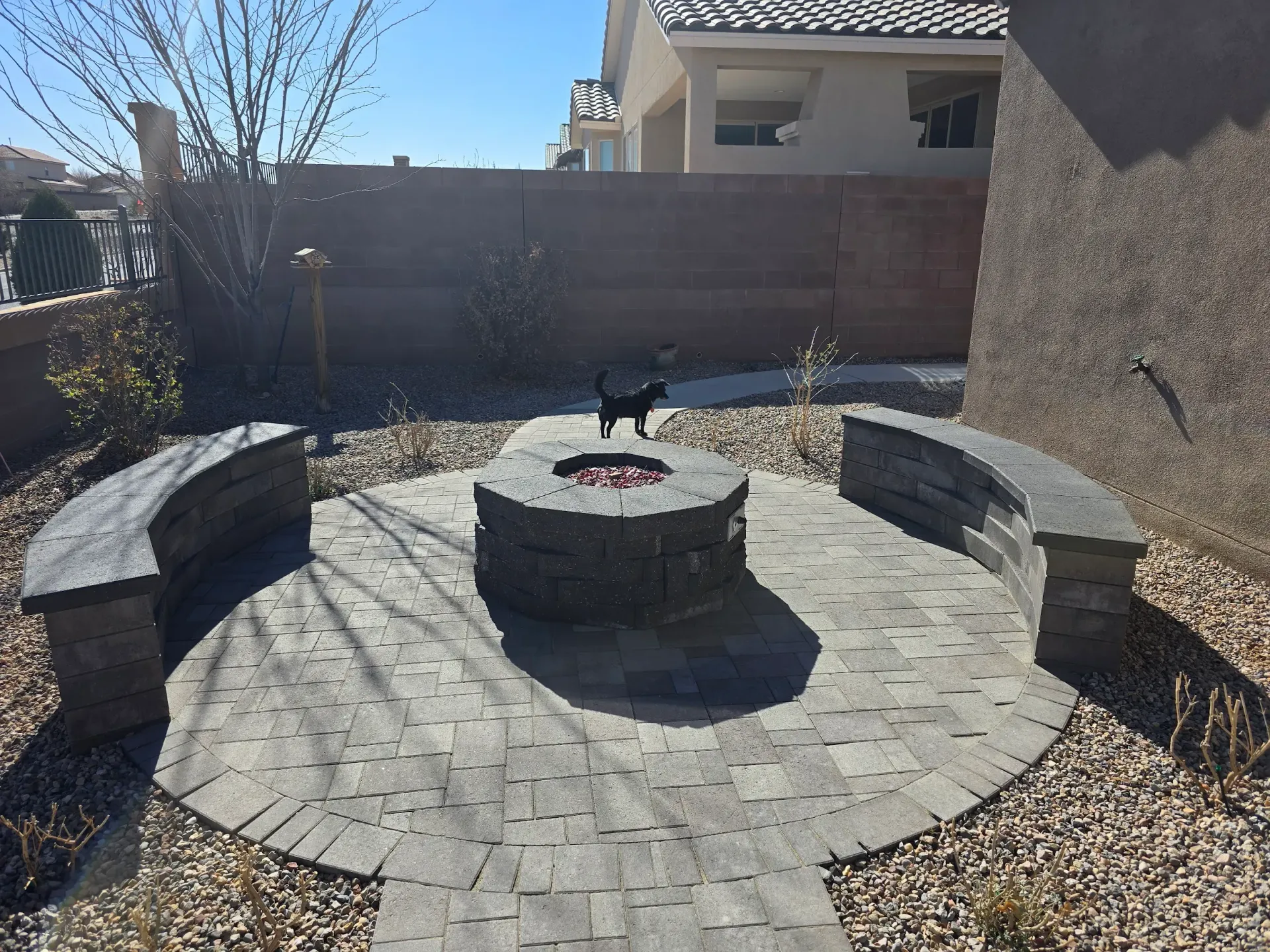 A dog is standing next to a fire pit in a backyard.