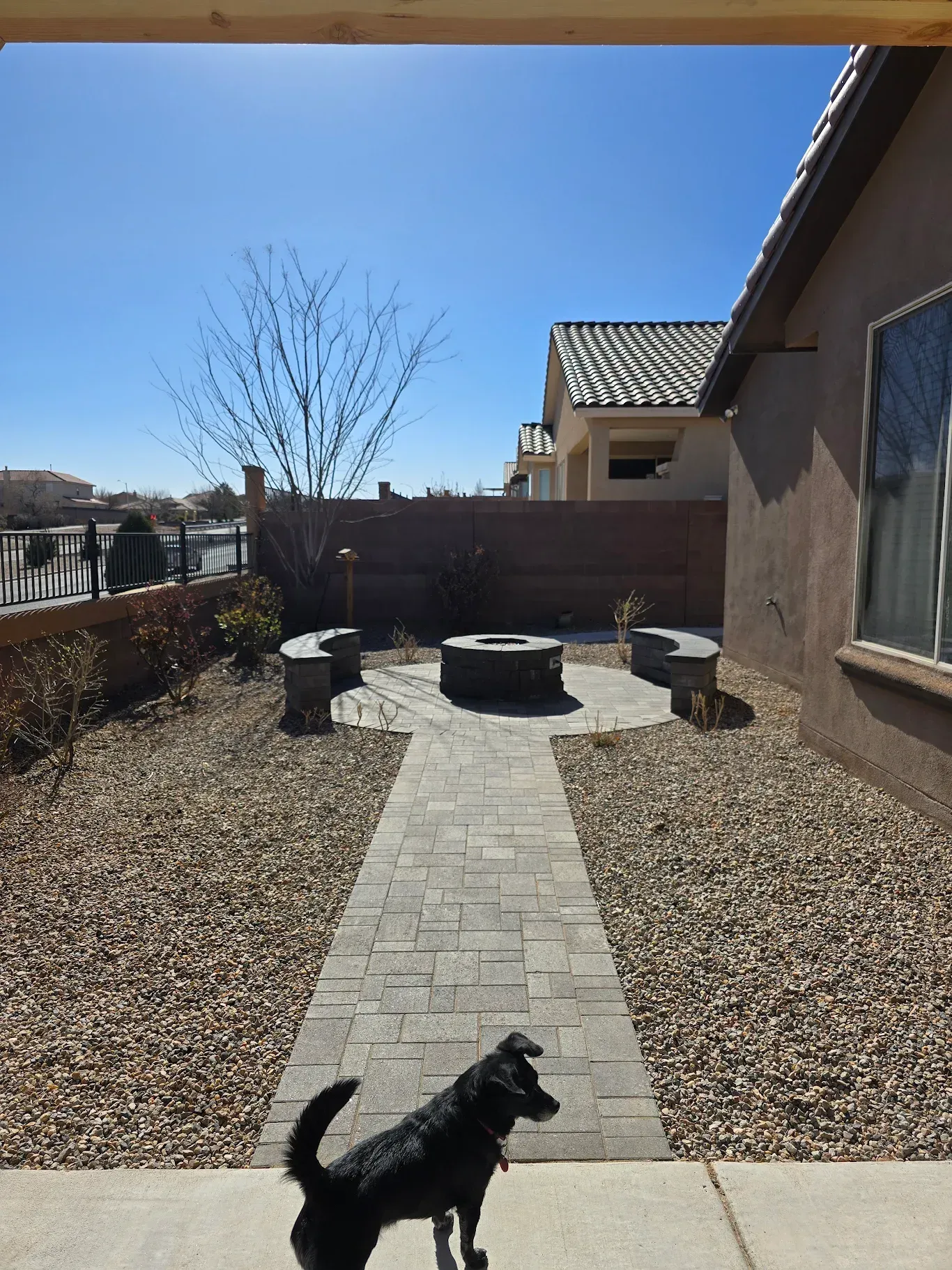 A black dog standing in front of a fire pit