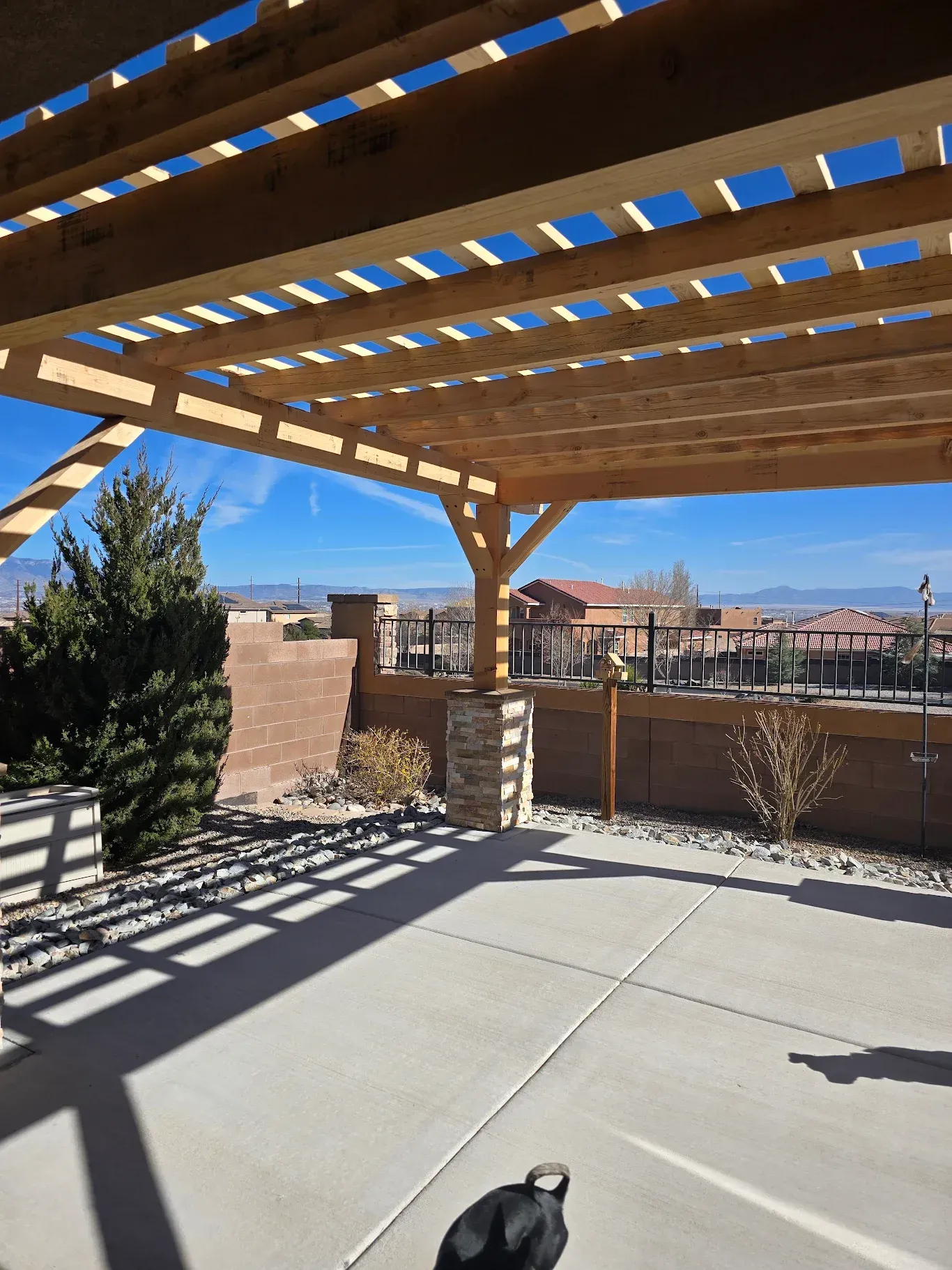 A dog standing under a wooden pergola on a sunny day