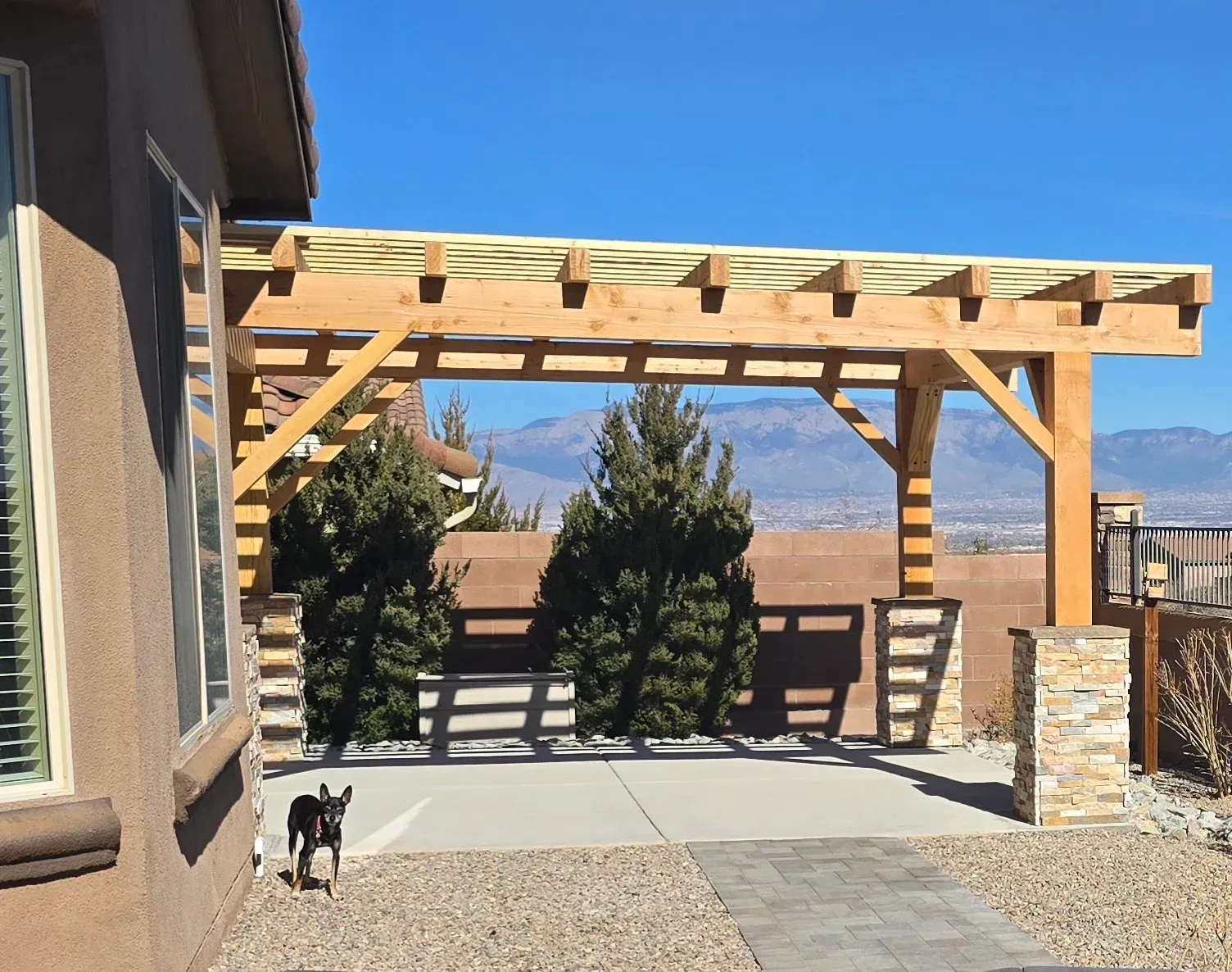 A dog standing under a wooden pergola in front of a house