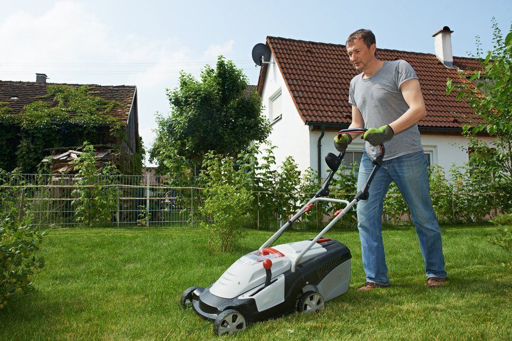 Cutting Grass in His Garden Yard — Professional Lawn Mowing in Toowoomba, QLD