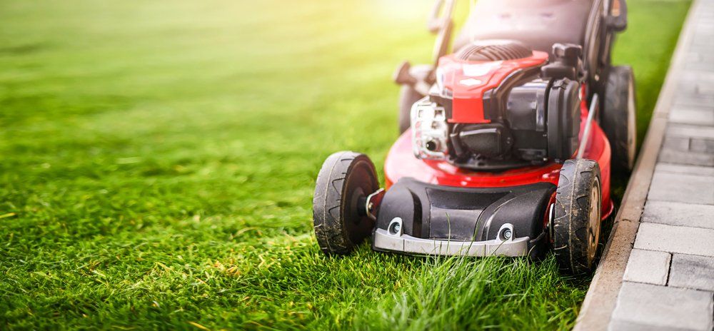 Lawn Mover on Green Grass in Garden — Professional Lawn Mowing in Toowoomba, QLD