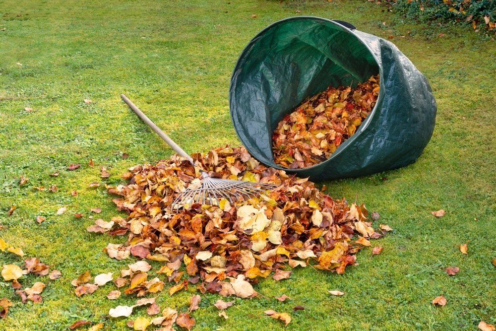 Rake Filled With Fall Leaves on Green Lawn — Green Waste Removal in Darling Downs Region, QLD