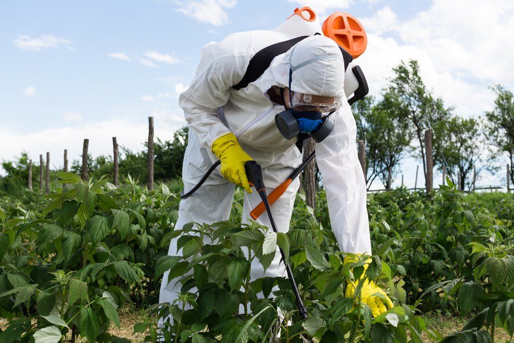 Young Worker Spraying Organic Pesticides — Organise Weed Spraying in the Darling Downs Region, QLD
