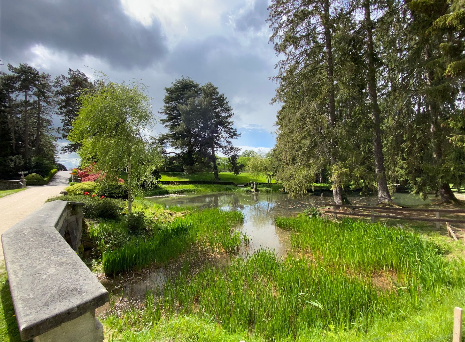 Thealogin, Freie Trauerfeier, freispirituell, frei-philosophisch 