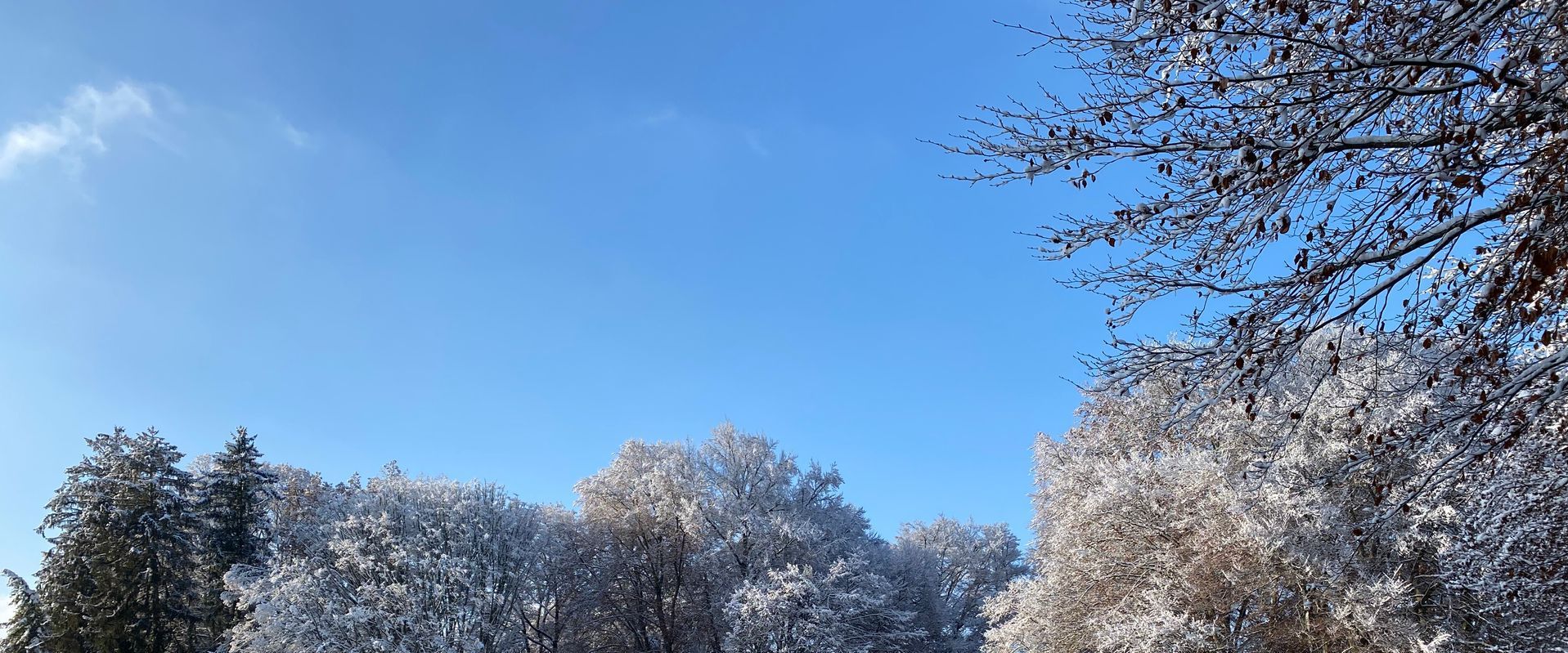 weltoffen, unabhängig, aussergewöhnlich