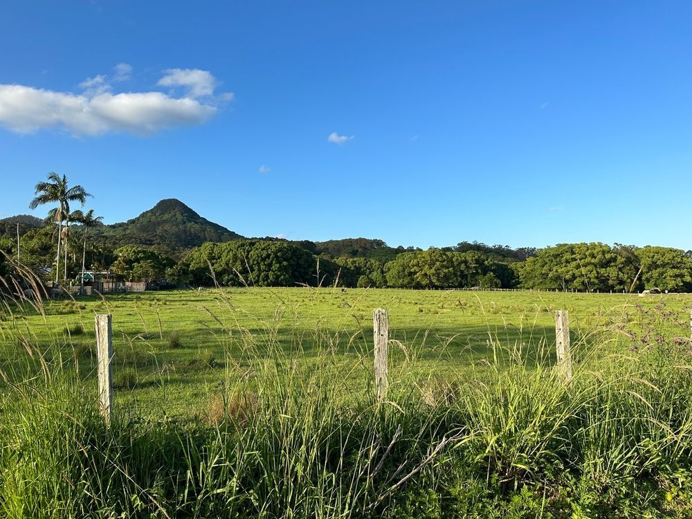A Grassy Field With a Barbed Wire Fence and a Mountain in the Background — Northernair in East Lismore, NSW