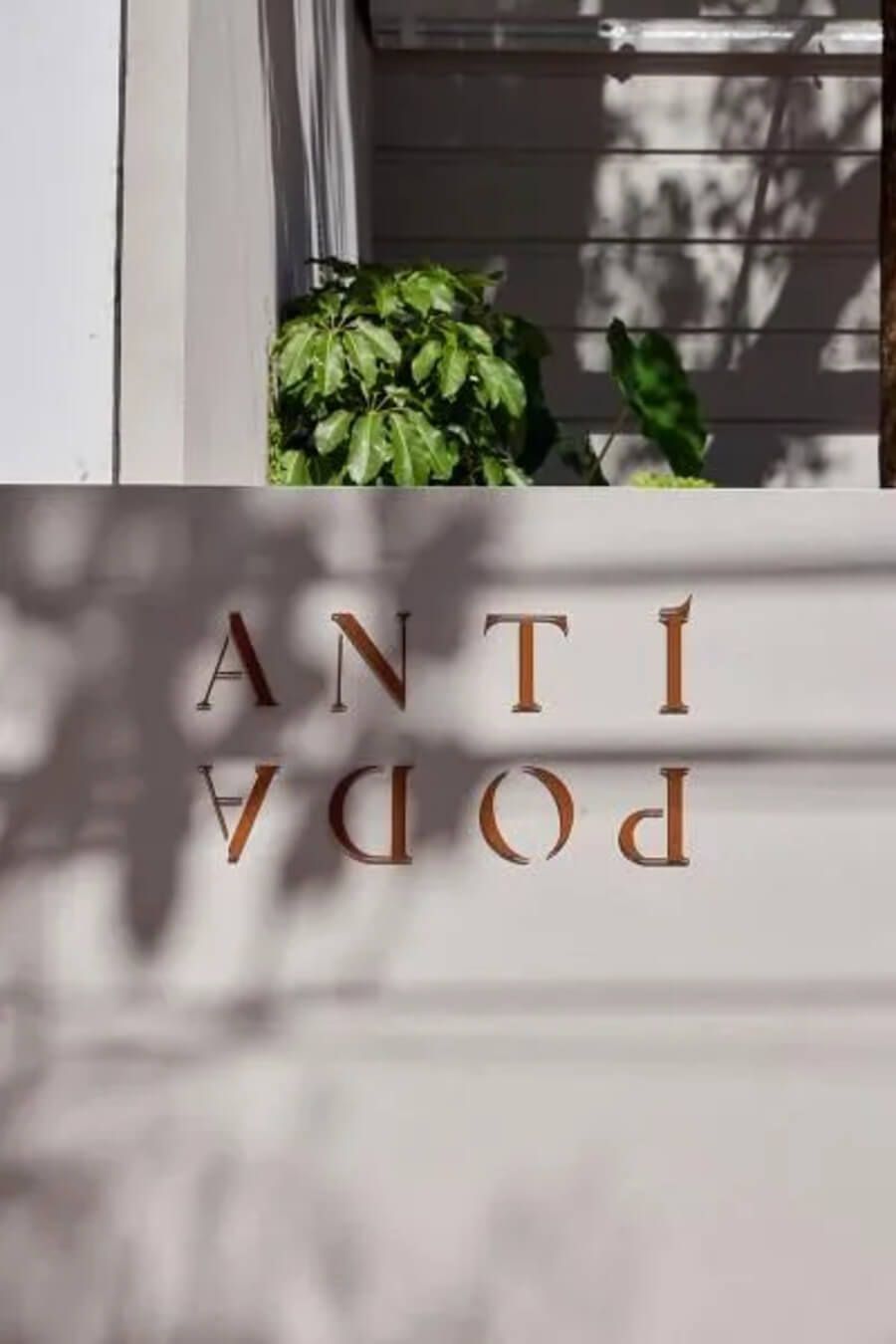 Logo reflejado del hotel Antípoda con sombras de hojas en la pared