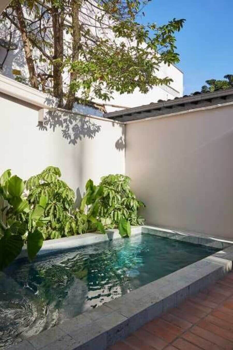 Piscina pequeña rodeada de vegetación con un cielo despejado y luz natural