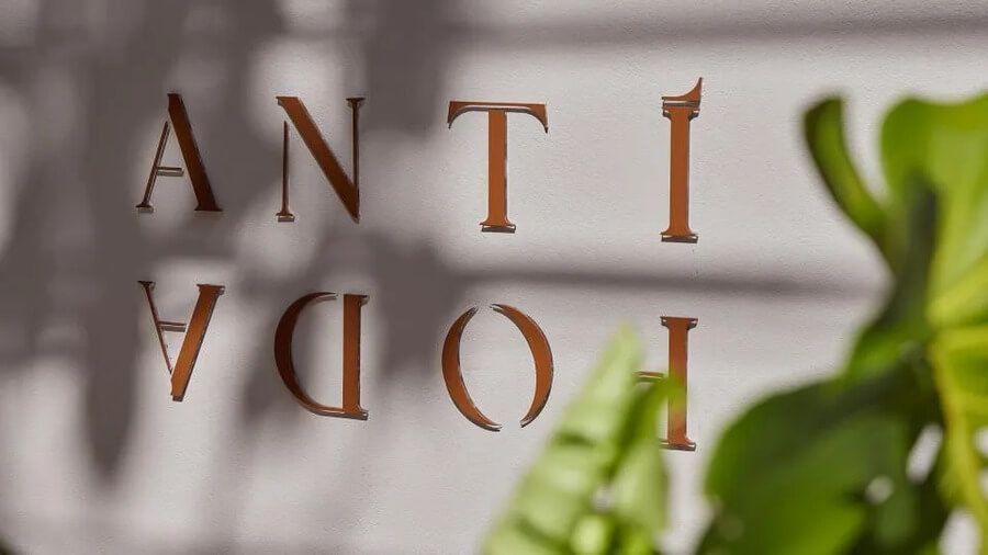 Logo reflejado de Antípoda Hotel con hojas decorativas al fondo
