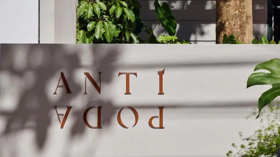 Diseño del logo de Antípoda Hotel con sombras naturales y hojas