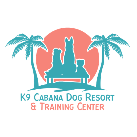 Dog Boarding Myrtle Beach Sc K9 Cabana Dog Resort Training
