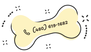 Phone Number