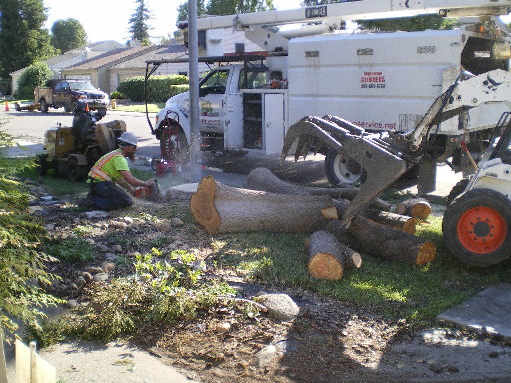 Workers clear fallen tree limbs with a wood chipper in a residential yard.