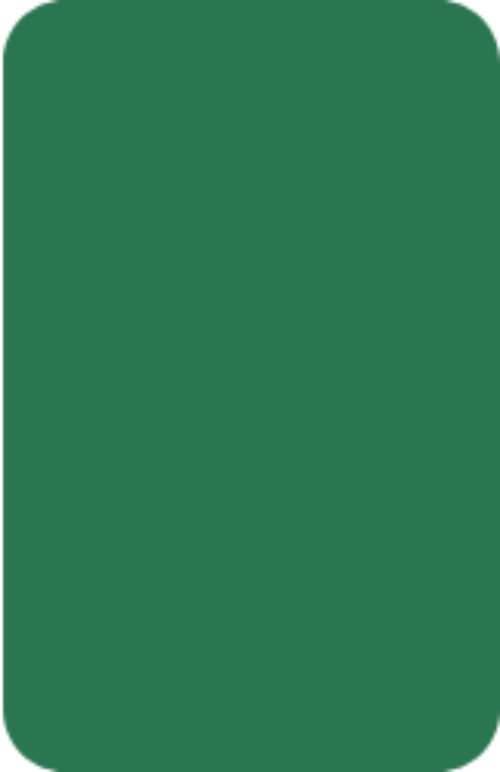 Solid green rounded rectangle