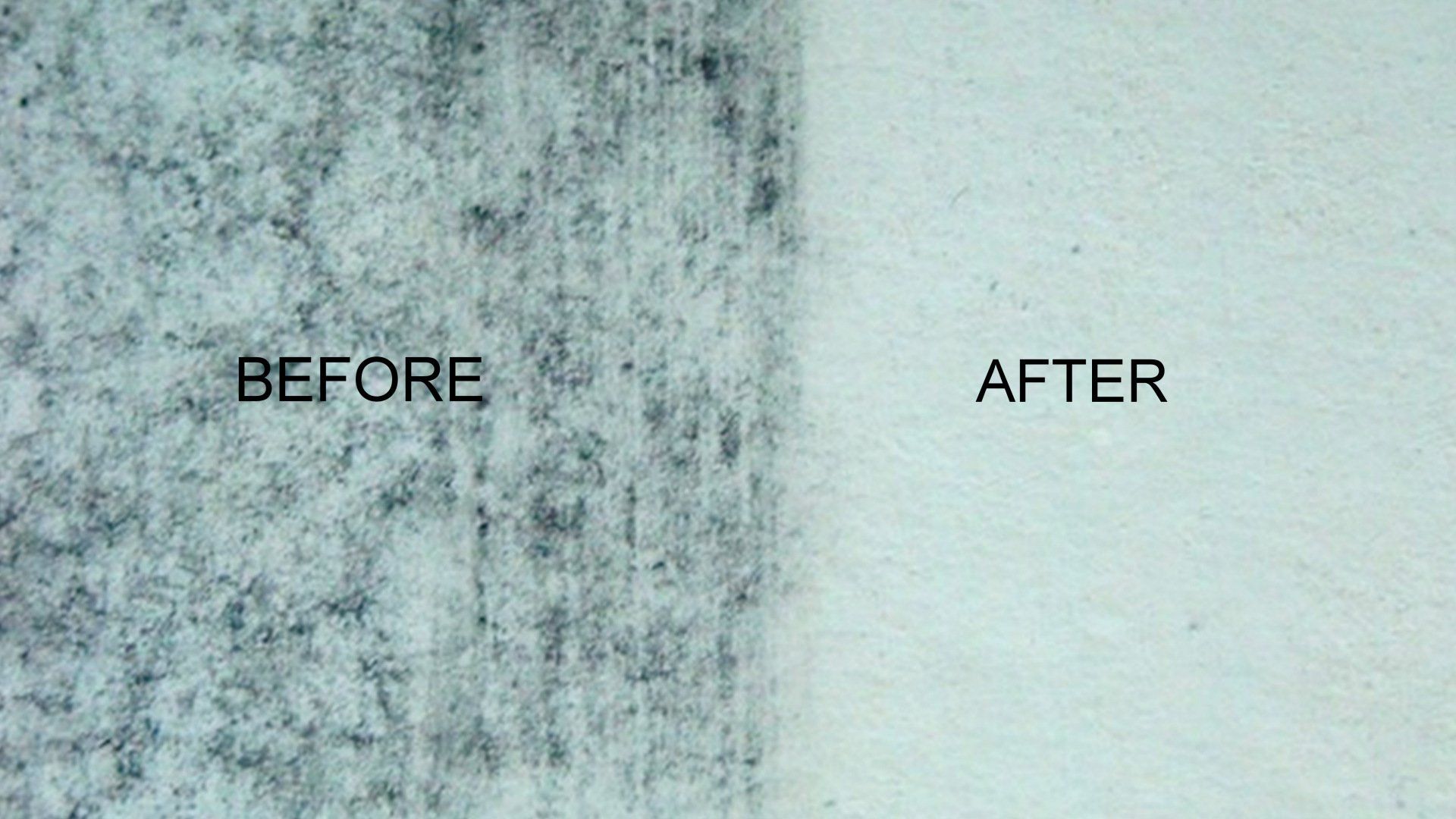 Eradicating Bathroom Mould A Quick Guide to Mould Removal
