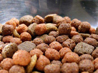 Dog Food | Mansfield, OH | Mohican Kennels