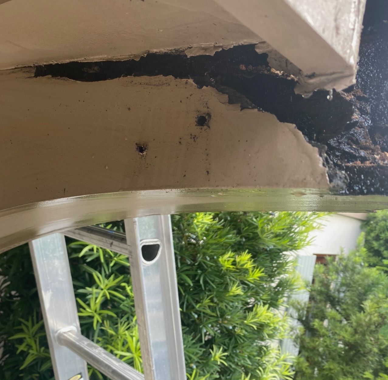 Damaged exterior building edge; ladder underneath; black coating visible, beige stucco. Green plants in background.