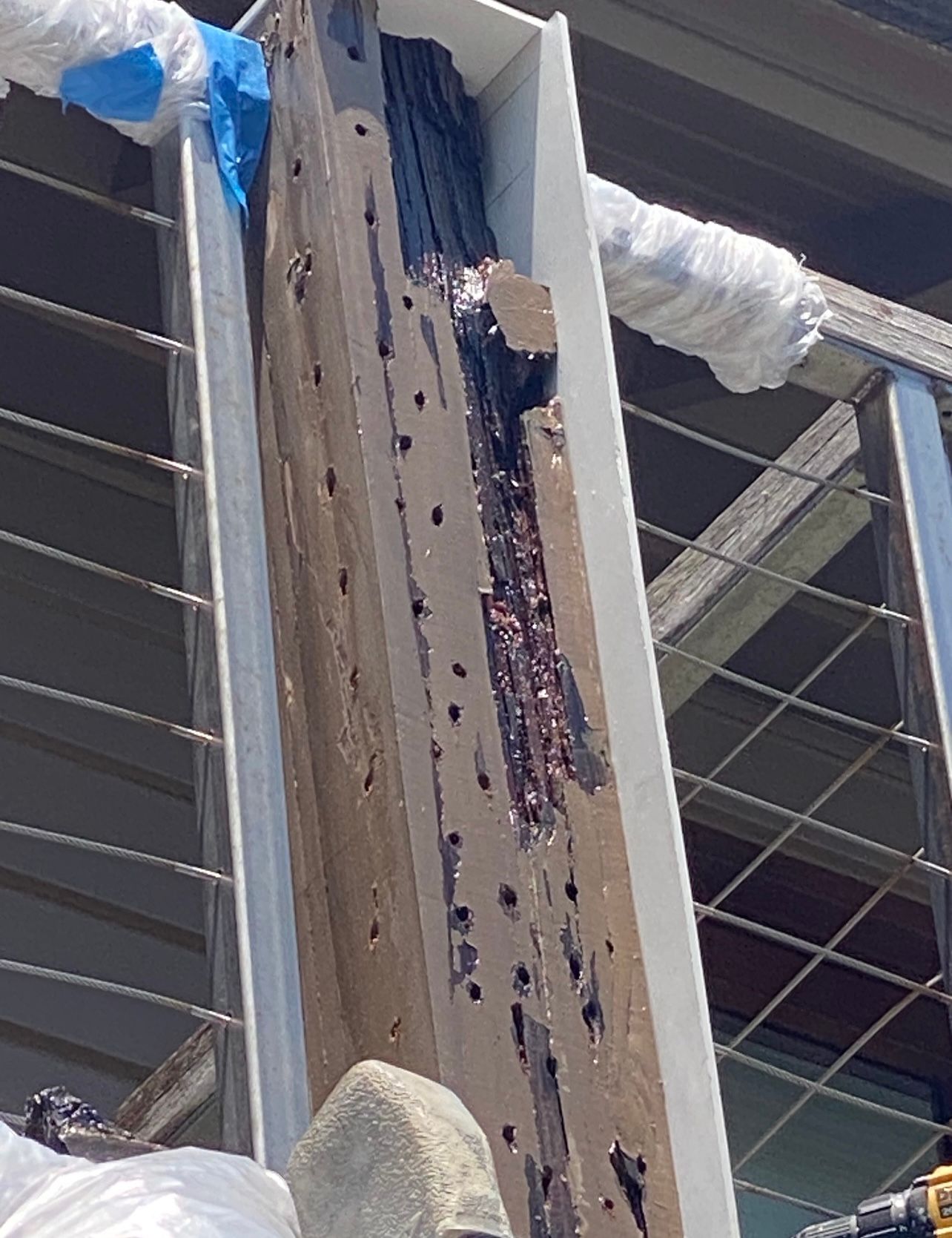 Decomposing wooden beam, brown and black, with insect damage, mounted on a metal structure.