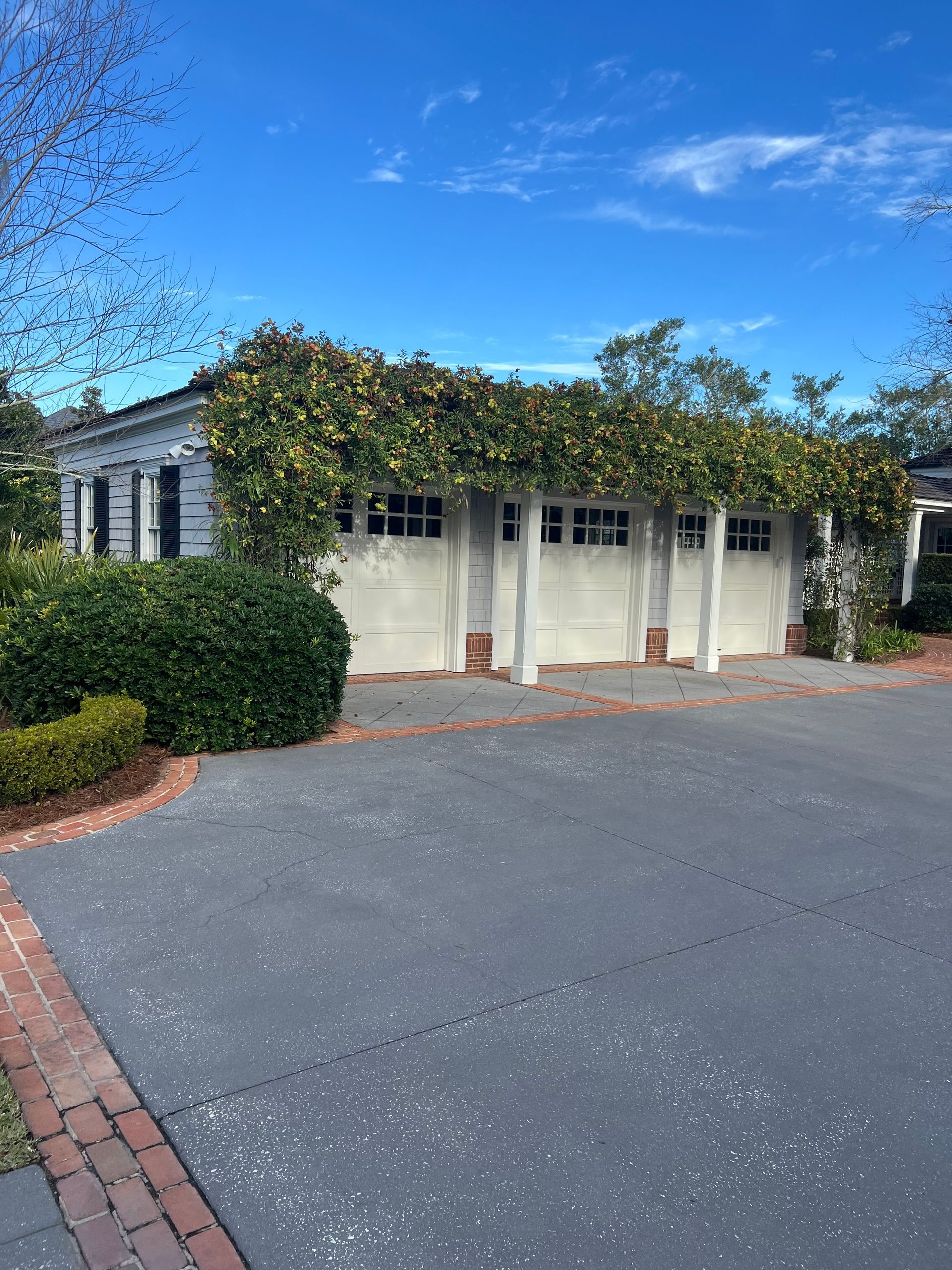 White garage with three doors, draped with yellow flowers, on a gray driveway with red brick edging; blue sky.