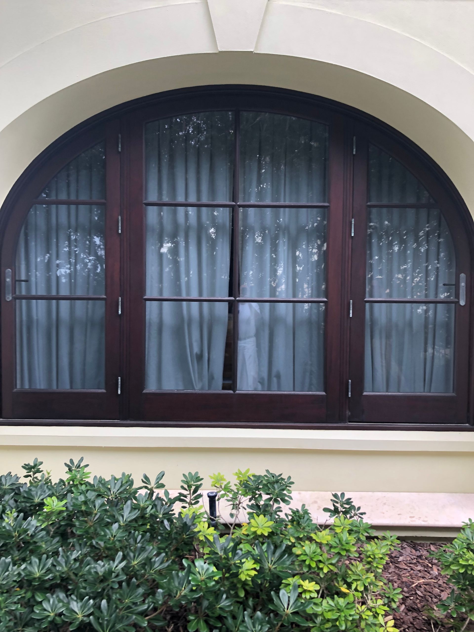 Arched wooden window with four panes, sheer curtains, and foliage below.