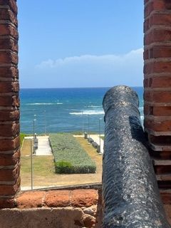 Cannon overlooking ocean through a brick window; blue sky and water.