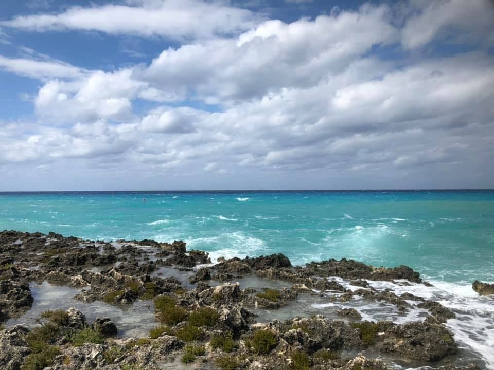 Beach with palm trees, sandy shore, and mountains under a blue sky.