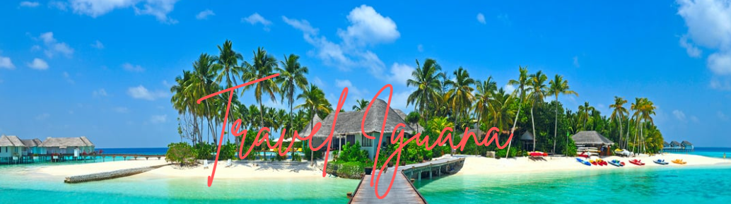 Tropical island with palm trees, turquoise water, and a clear blue sky.