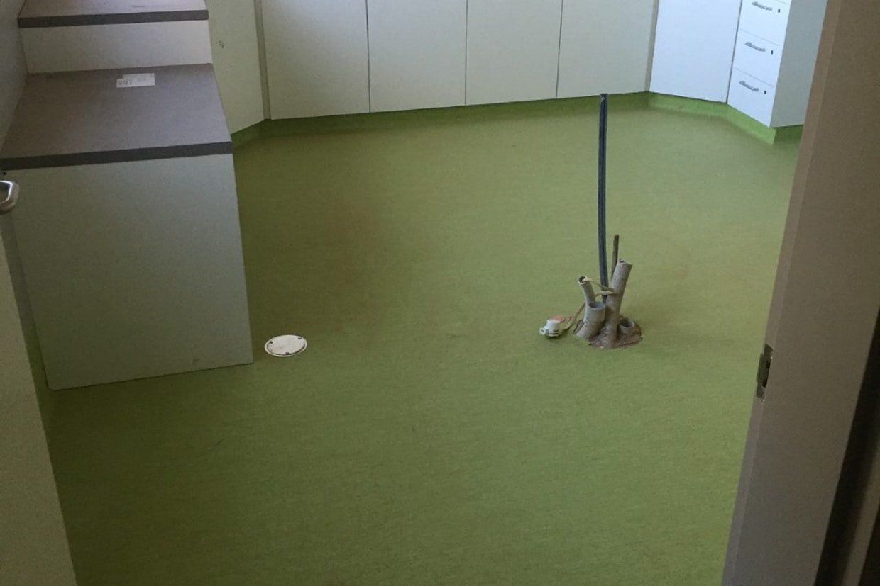 Green Flooring in Room — Ozwide Flooring in Ciccone, NT