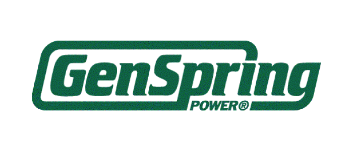Generators & Energy Storage in Georgia | GenSpring Power