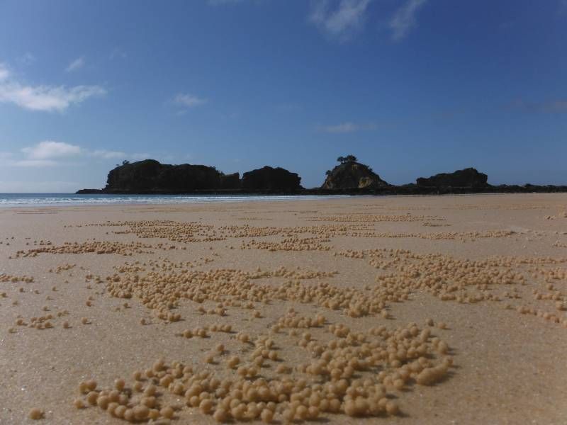 Table Adorned With Rocks And a Lamp — Mind Body Soul Healing in Cooee Bay, QLD