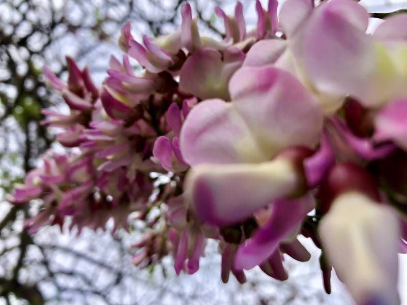 Scattered Large Rocks Dotting a Sandy Beach Coastline Under a Bright Blue Sky — Mind Body Soul Healing in Cooee Bay, QLD