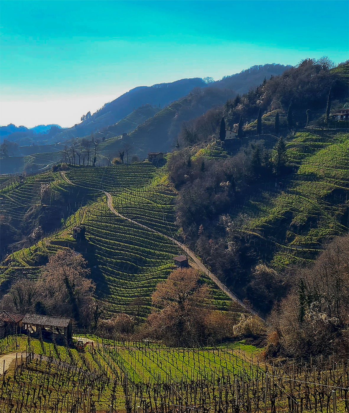 Colline del Prosecco UNESCO vicino a Casa Pannella