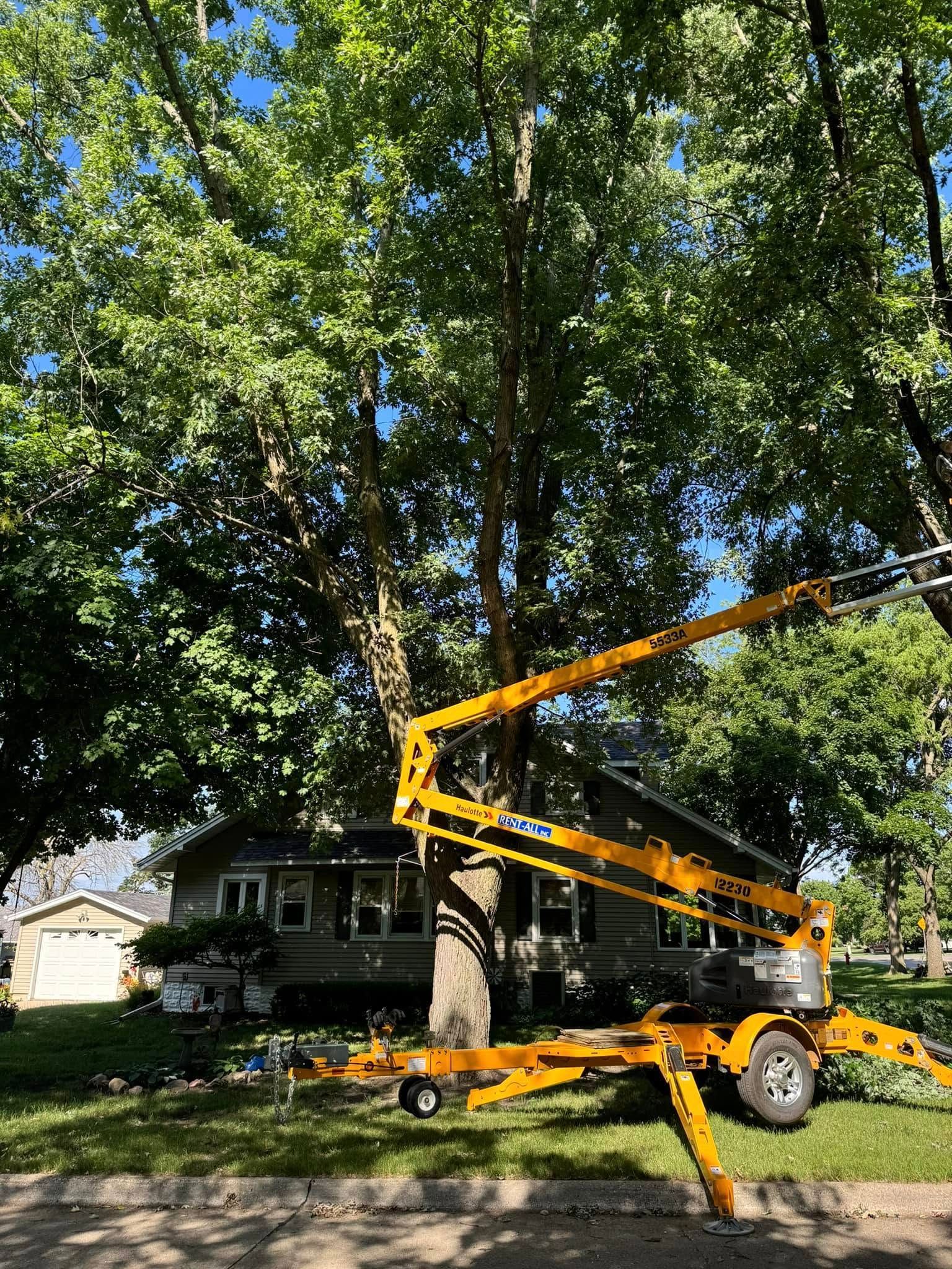 Hardin Arborist