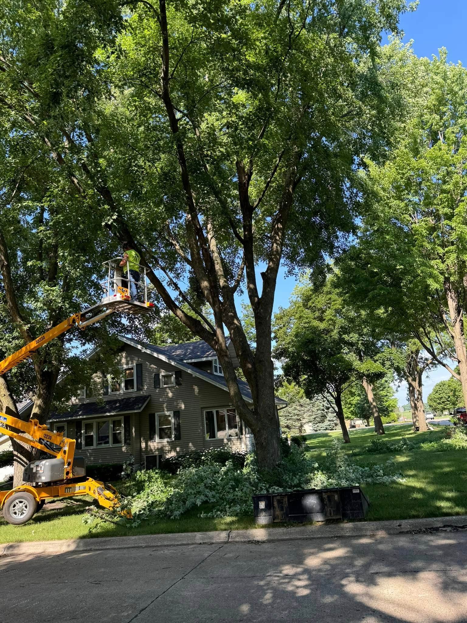 Fresno Tree Service