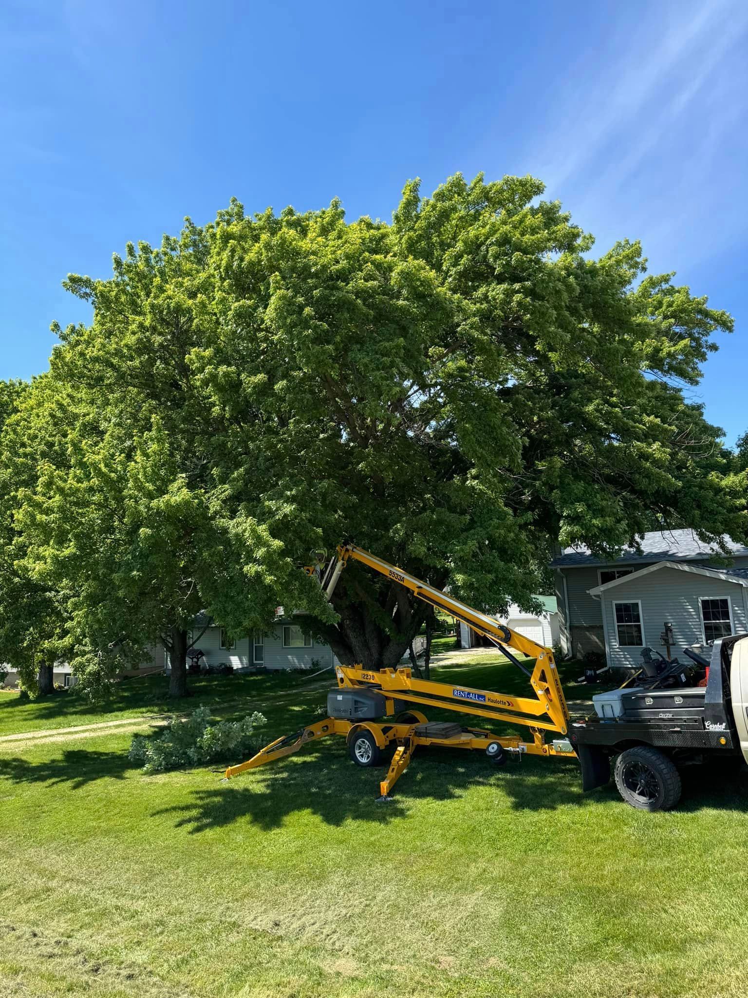 Rosenberg Tree Service