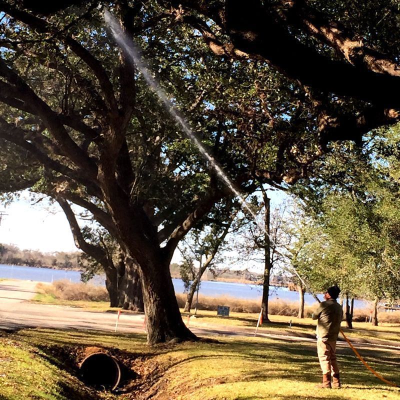 Barrett TX Arborist